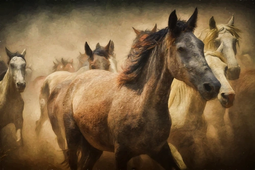 лошадь, конь, животные, цифровая живопись, бежевые, коричневые